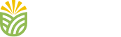Aernouts Loon- Grondwerken 