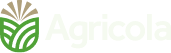Aernouts Loon- Grondwerken 