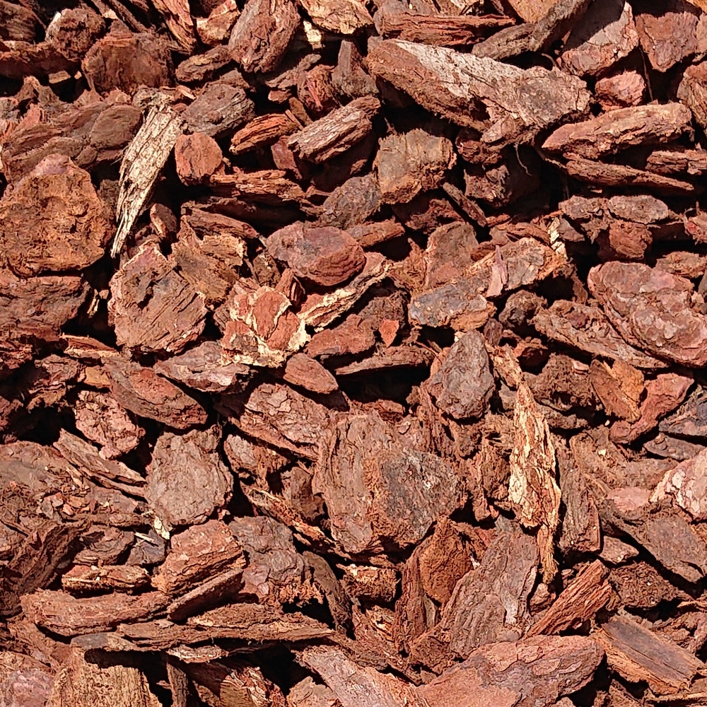 Hout schors