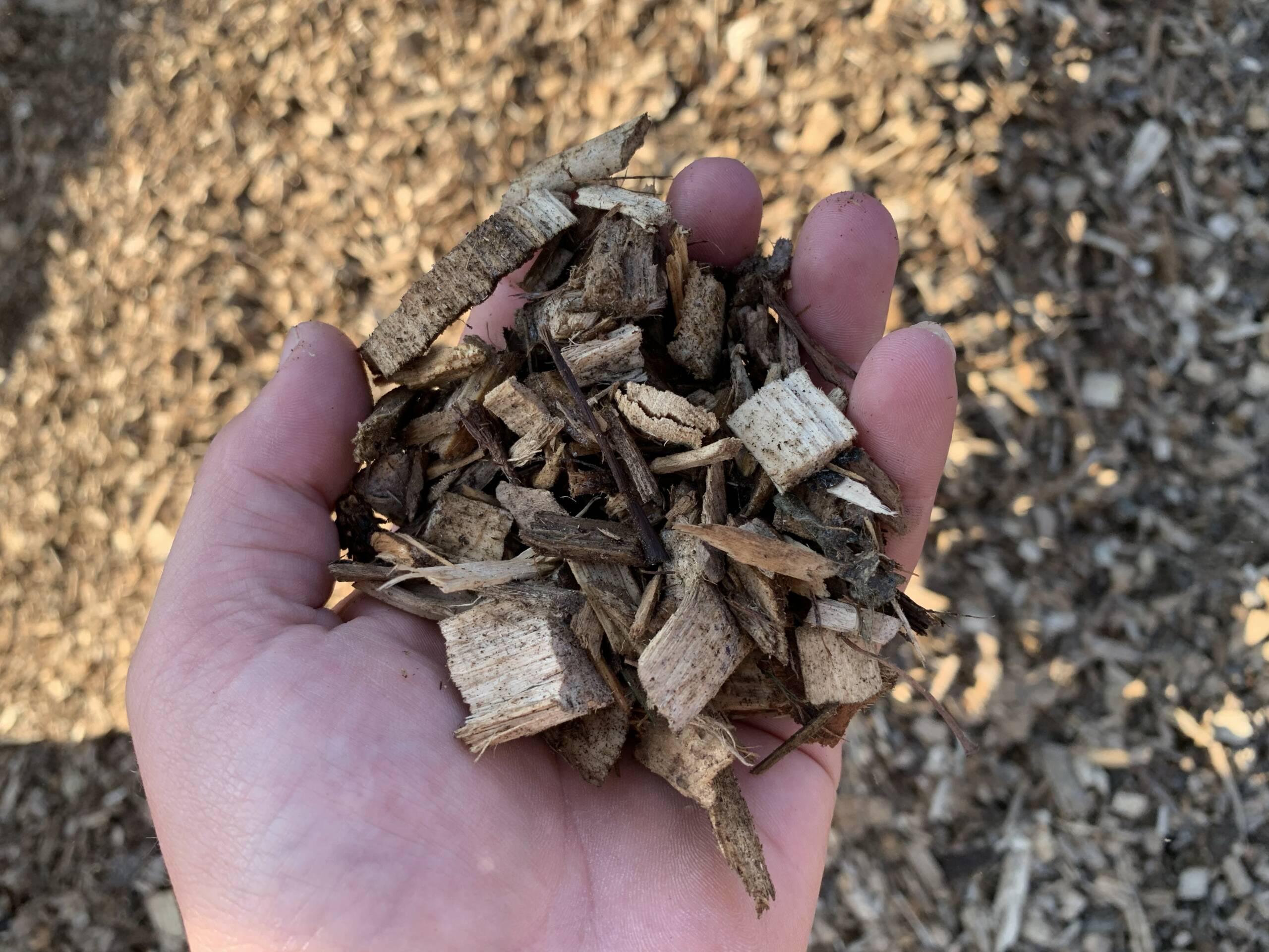 Grove hout snippers